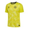 Maillot de Gardien Danemark Euro 2024 Jaune Pour Homme